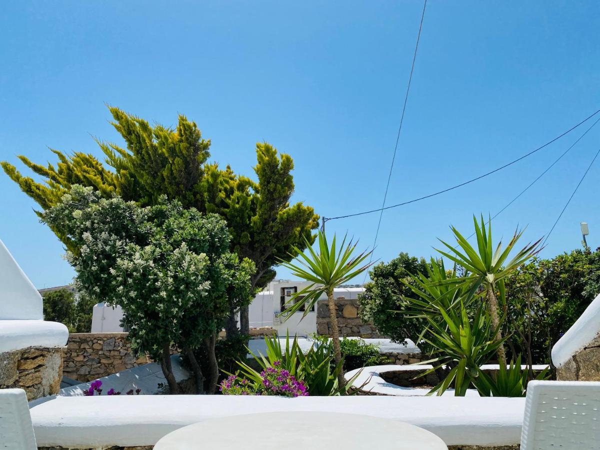 Eleftheria Hotel & Apartments Ornos  Dış mekan fotoğraf